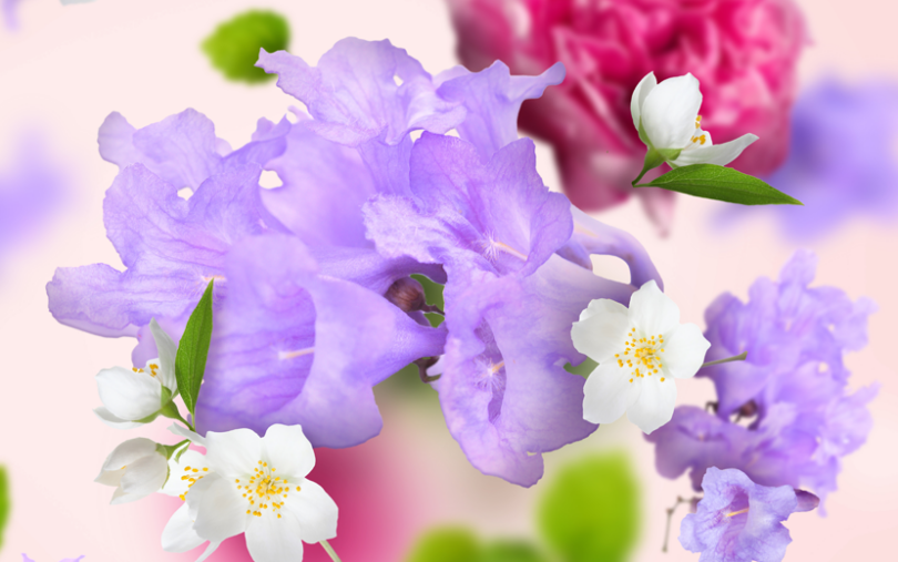 Parfumverspreider Sous les Magnolias zit tussen sensualiteit en provocatie in: een chypré bloemig huisparfum met fruitige accenten.